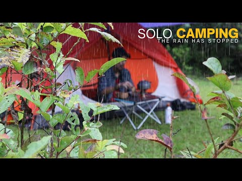 SOLO CAMPING, The Rain Has Stopped, Cooking - ASMR