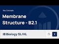 Cell Membrane Structure and Function