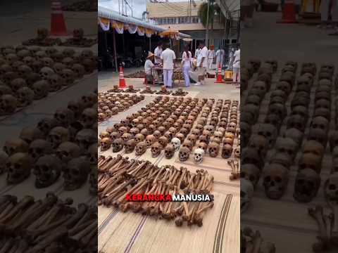 Menyeramkan😱😱#shorts#shortvideo#short