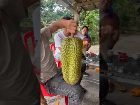 Darimana Buah Durian Berasal?
