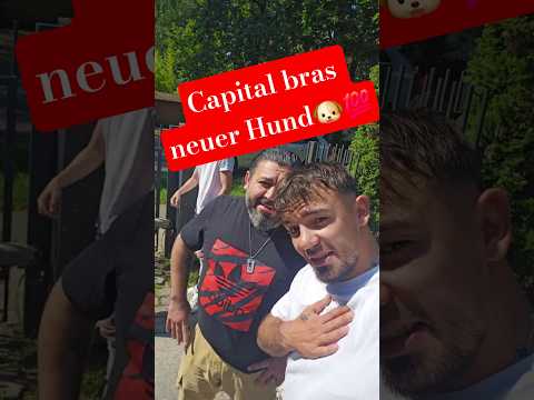 Capital Bra's son gets a new dog?!π±πΆ #capitalbra #fanlove #berlinlives