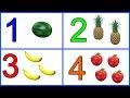 Understanding the Transcript