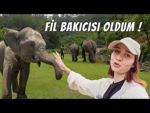 Fillerle Ormanda  1HAFTA Geçirdim! NELER YAŞADIM?