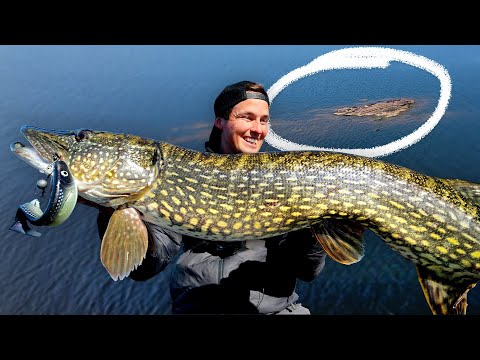 CHASSE AU BROCHET SUR UN LAC LÉGENDAIRE – Le record personnel sera-t-il battu ?