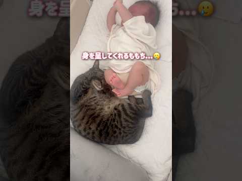赤ちゃんが泣き始めると優しい猫がまさかの行動に【とらまる】