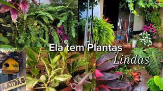 ELA TEM MUITAS PLANTAS LINDAS MUITAS LINDEZAS NO QUINTAL DA CASA 🪴🏡TOUR PELAS PLANTAS NOVA PLANTA