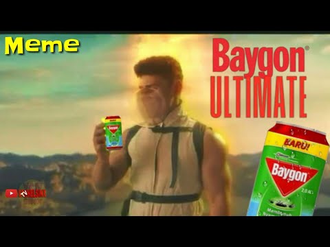 Baygon Ultimate Meme