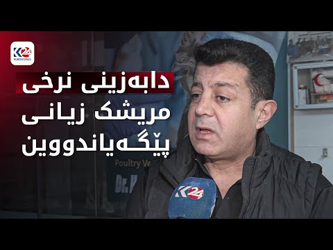 نرخی مریشک بەردەوامە لە دابەزین