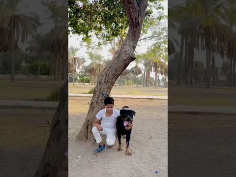 مجيش ع الضعيف ع شان القوي في اقوه منو تعالو شوفو فارس هيعمل اي ادعموني يا اخواتي 💬❤️#فارس _فيجو🚀🤺