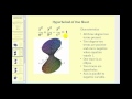 Quadric Surfaces and Their Properties