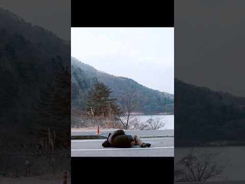 ビジネスホテルで働くシングルマザーが、ある日偶然宇宙人と出会う。   #shorts     #宇宙人  #ドラマ  #映画