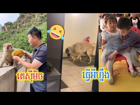 គេធ្វើអីហ្នឹង🤣 / funny video,