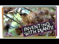 Understanding Velcro and Biomimicry