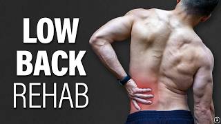 Lower Back Pain Rehab (Exercises | Education | Myths | Prevention)