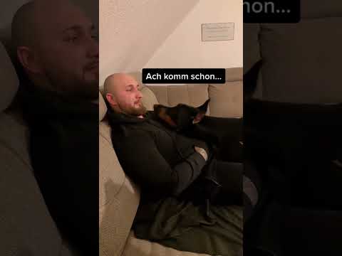 Dobermann Reav Diskutiert mit mir‼️😁