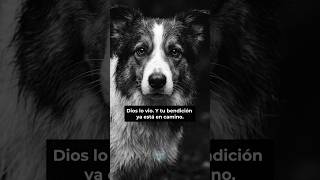 La Biblia Dice Esto…