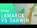Darwin's Theory and Natural Selection