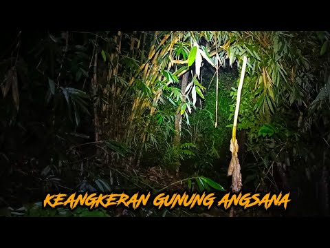 Live Misteri‼️Nekad Solo Explore, Seberapa Kuat Kah Interaksi Gaib Gunung Angsana