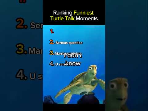 Ranking Funniest Turtle Talk Moments Part 3