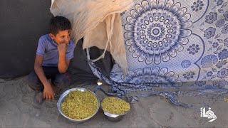 استمرار العدوان والحصار الإسرائيلي يدفع المزيد من الغزيين للبحث عن طعام مجاني