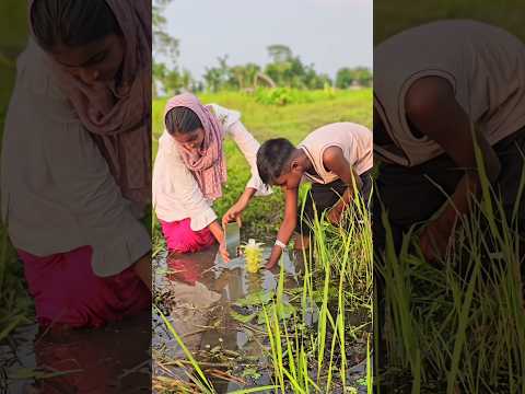 farming reel 🌾⚡ #song #farming #khetibadi #dailyshorts #virulshorts