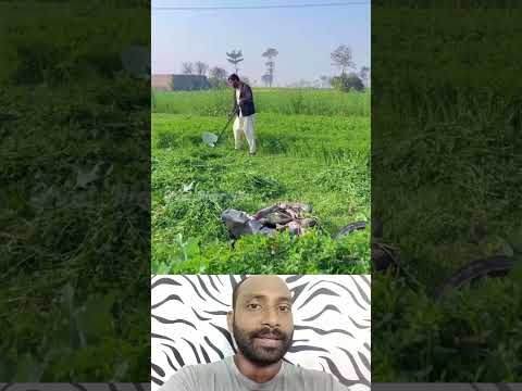 അല്പം വൈകിപ്പോയി അതുകൊണ്ടാണ് 😁