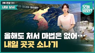 [날씨] "올해도 처서 마법은 없어··· 내일 곳곳 소나기" /금채림 캐스터