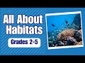 Adaptations and Habitats of Animals