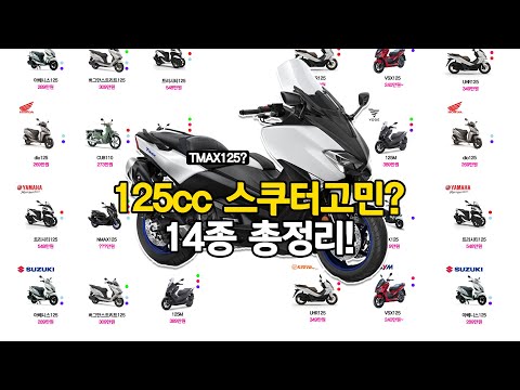 [125cc 입문 스쿠터 추천] 오토바이 브랜드별 14종 가격 성능 총정리!
