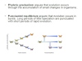 Evolutionary Concepts: Punctuated Equilibrium