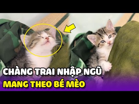 Chàng trai nhập ngũ mang theo hành lý là 1 bé mèo 🥰