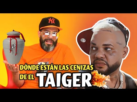 ¿Dónde están las cenizas de El Taiger? Jorge Jr. comparte detalles del velorio, pero desde Cuba.