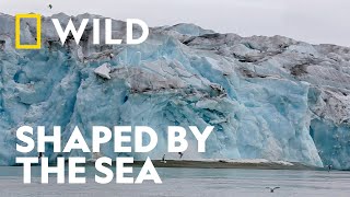 Shaped by the Sea | Coastal Odyssey | National Geographic UK