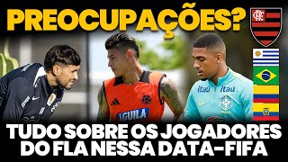 👀 Titulares, reservas e mais: saiba tudo sobre os jogadores do Flamengo na Data-FIFA