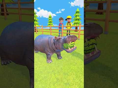 esse hipopótamo não é normal #shorts