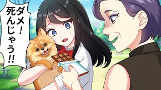 犬に無理やりチョコレートを食べさせようとする迷惑おばさんの末路【アニメ】【漫画】