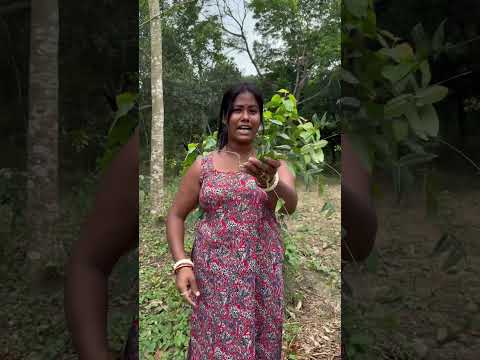 সেরে যাবে সুগার #shots #shortvideo #shotrs