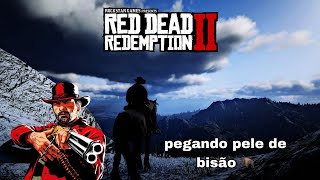 Pegando pele de bisão branco lendário no Red Dead Redemption￼ 2
