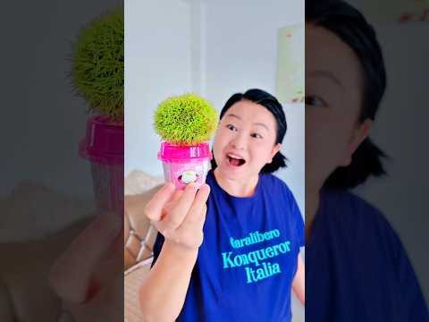 Hạt dẻ không phải ăn như vậy sao!