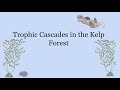 Keystone Species and Ecosystem Dynamics