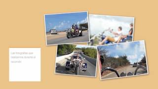 Trikes LLC