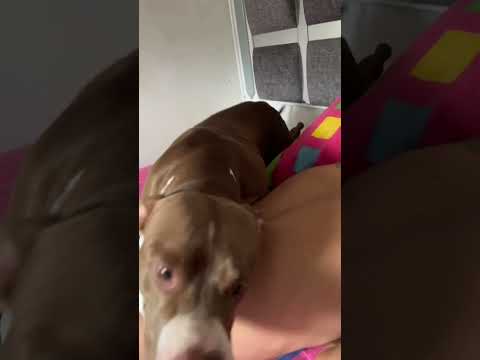 Déjalo dormir amá, no lo despiertes 😩😑😒🤭🥰