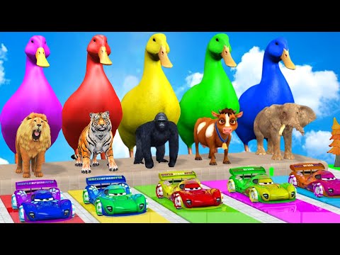 Long Slide Game With Elephant Tiger Lion Gorilla Cow - 3d Animal Game - Funny 3d Animals