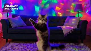 La Reina del salón | Canciones infantiles 😽👑