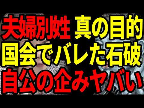 【徹底解説】高市早苗が徹底解説！夫婦別姓が引き起こす日本の家族崩壊と戸籍制度の危機【必見】