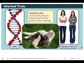 Acquired vs Inherited Traits in Animals
