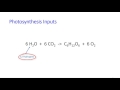 Atoms in Chemical Reactions