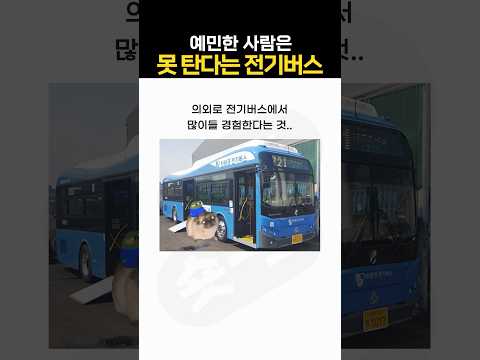 예민한 사람은 못 타는 전기버스 ㄷㄷ