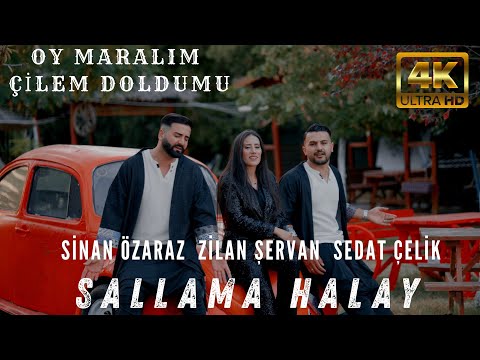 Sinan Özaraz Sedat Çelik Zilan Şervan Sallama Halay Oy Maralım Çilem Doldumu  ( Yeni 2025 )