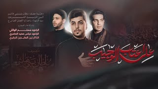 على اعتاب الوجيب  دخولية مضيف سلطان بني هاشم الى حرم الإمام الحسين واخيه أباالفضل العباس ع 1447 هجري